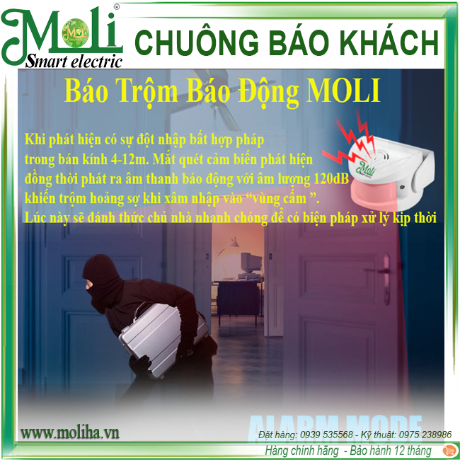 bao-khach-co-remote-moli(3).png