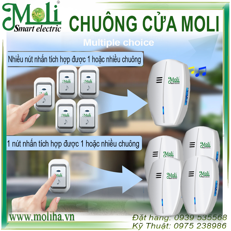 chuong-moli(1).png