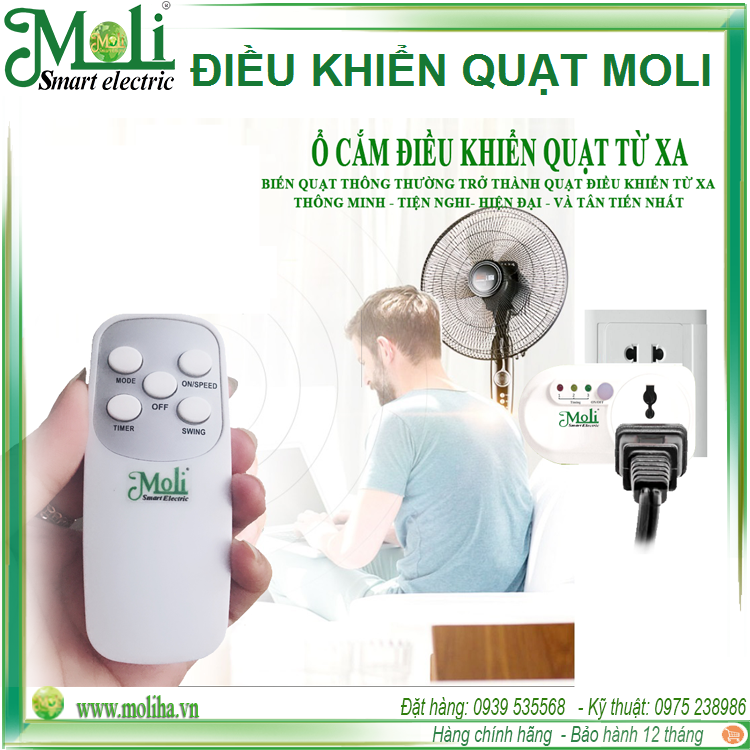 o-cam-quat-moli(1).png