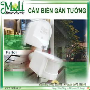 CÔNG TẮC CẢM ỨNG GẮN TƯỜNG, XOAY