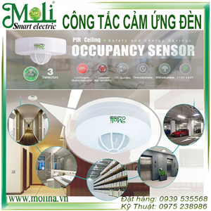 CẢM ỨNG BẬT ĐÈN ÂM TRẦN MOLI