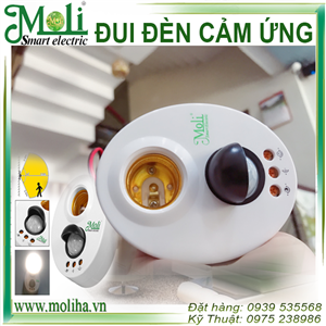 ĐUÔI ĐÈN CẢM ỨNG HỒNG NGOẠI MOLI